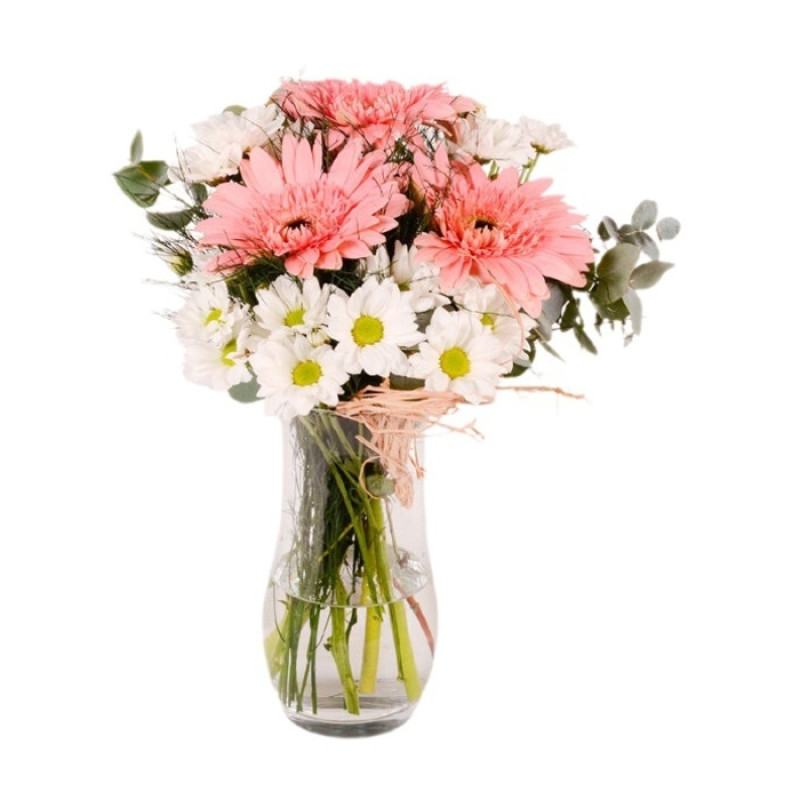 Papatya & Gerbera