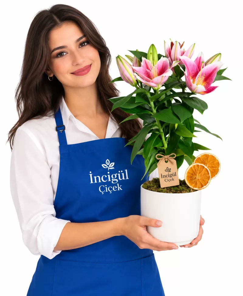 Polimer Saksıda Kokulu İthal Pembe Lilyum Saksısı 40 Cm