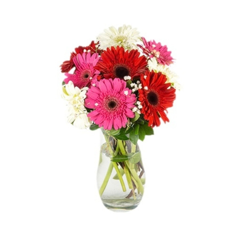 Cam Vazoda Renkli Gerbera Aranjmanı 30 Cm