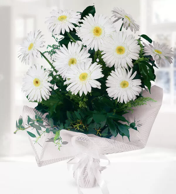 Beyaz Gerbera Buketi
